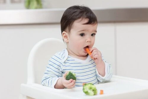 Chế độ dinh dưỡng cho trẻ 16 tháng