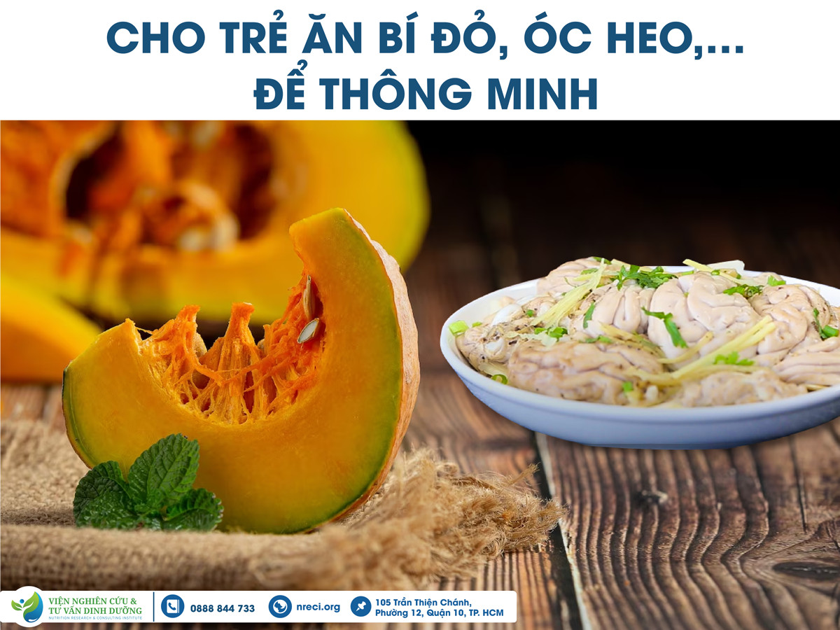 NHỮNG LẦM TƯỞNG VỀ DINH DƯỠNG: CHO TRẺ ĂN BÍ ĐỎ, ÓC HEO…. ĐỂ THÔNG MINH!