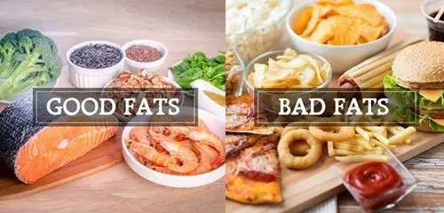 Chất béo tốt có trong thực phẩm nào?