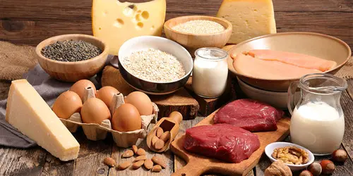 Protein có nhiều trong thực phẩm nào?