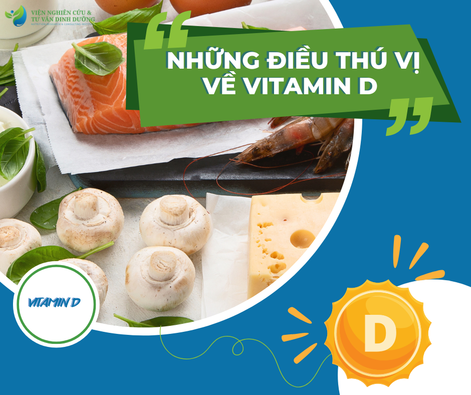 Những điều thú vị về Vitamin D