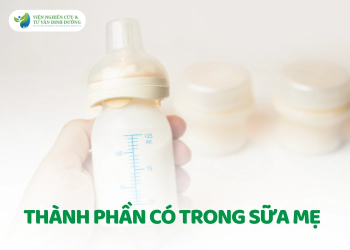 Thành phần sữa mẹ gồm những gì?